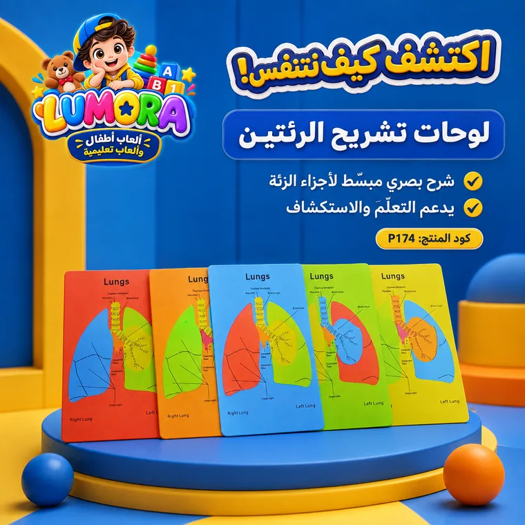 لوحات تشريح الرئتين