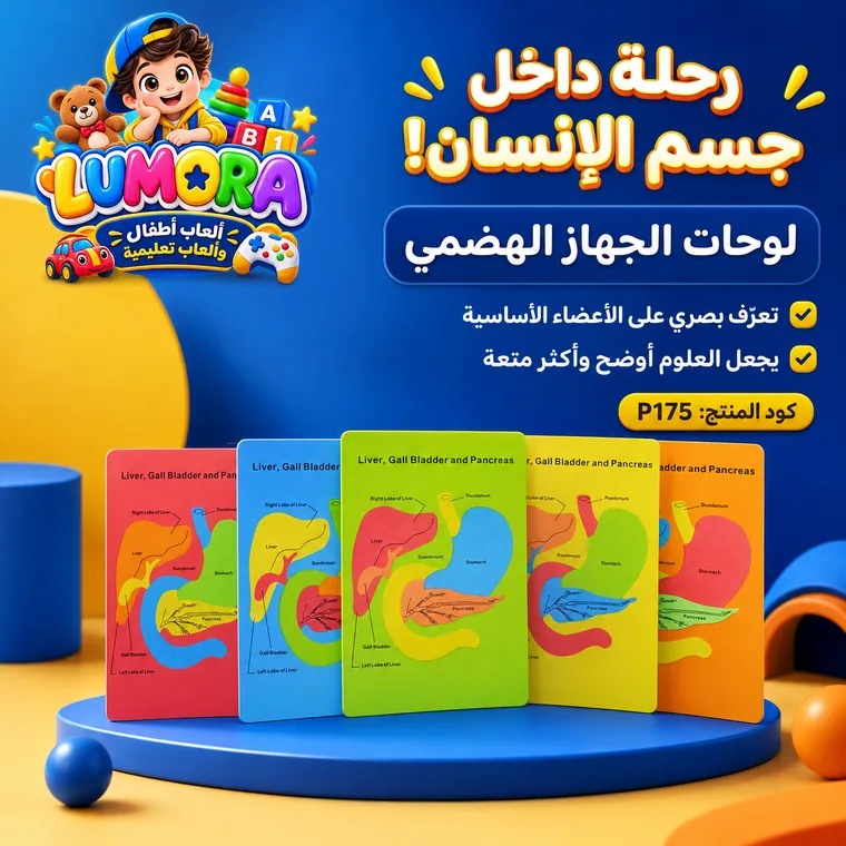 لوحات الجهاز الهضمي التعليمية
