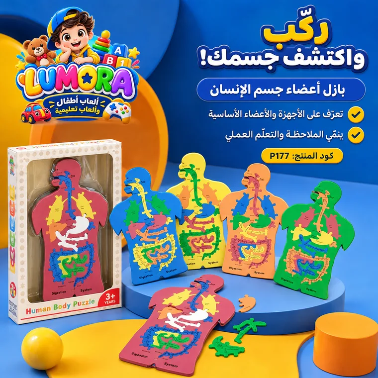 بازل أعضاء جسم الإنسان